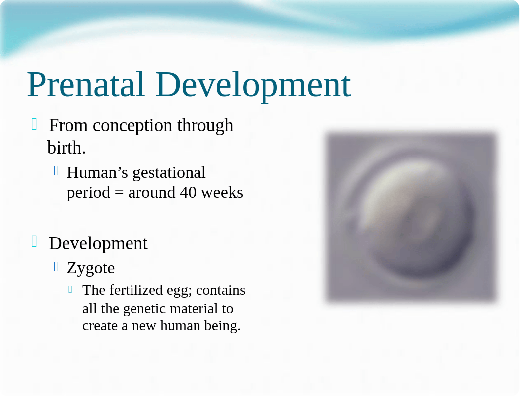 PSY101 Developmental Psychology_dbvzb1mccfh_page5