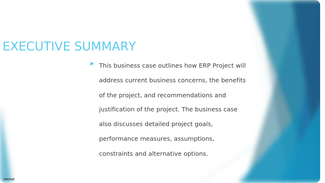 Adili BUS-2020-02 ERP Project Business Case Presentation due 101919.pptx_dbw6eahs5xo_page2