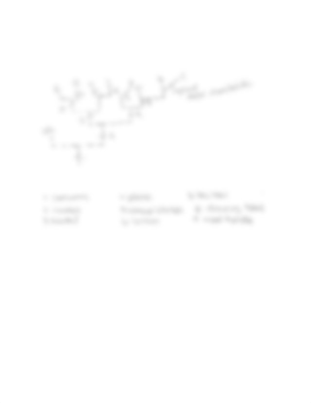 Stephanie Ramirez- Cladograms .pdf_dbwbbuvge1v_page4