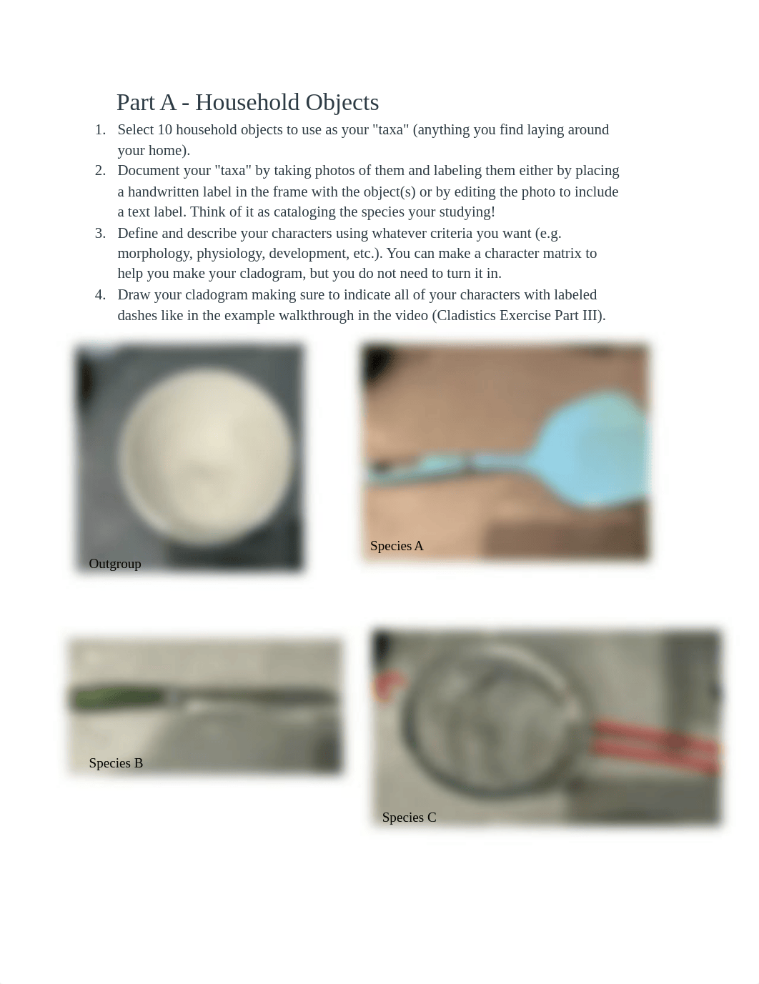 Stephanie Ramirez- Cladograms .pdf_dbwbbuvge1v_page1