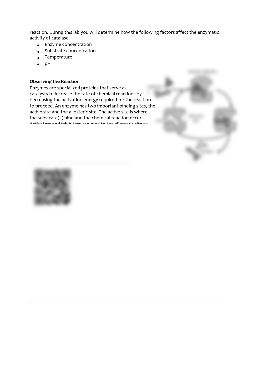 Lab11-Enzyme-Lab Updated.pdf_dbwdi8f36o9_page2