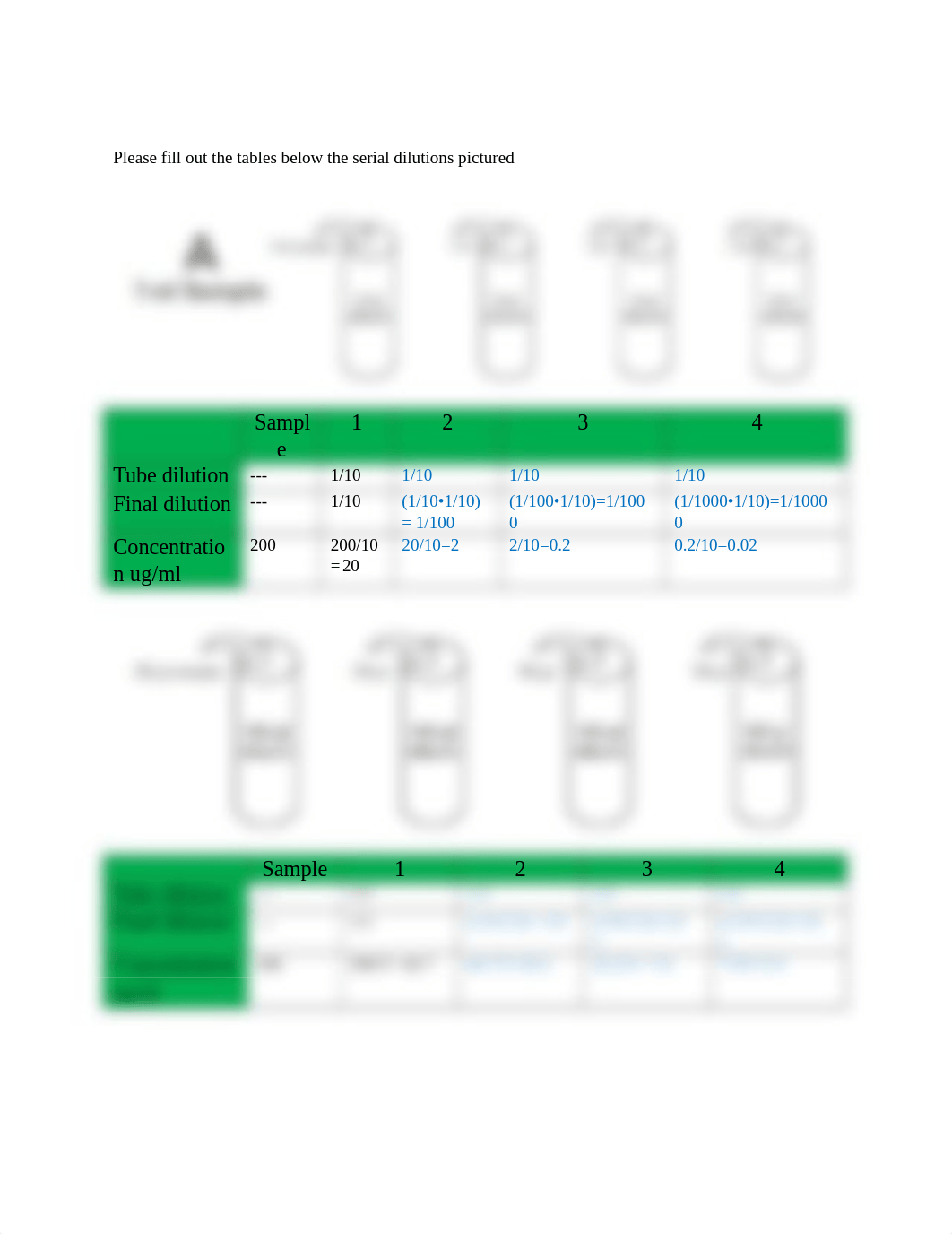 serial dilution.docx_dbws0v9gdpg_page2