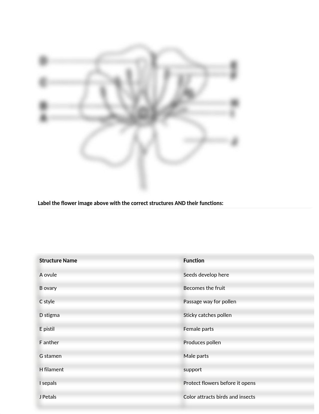 Label the flower image.docx_dbx23klr6px_page1