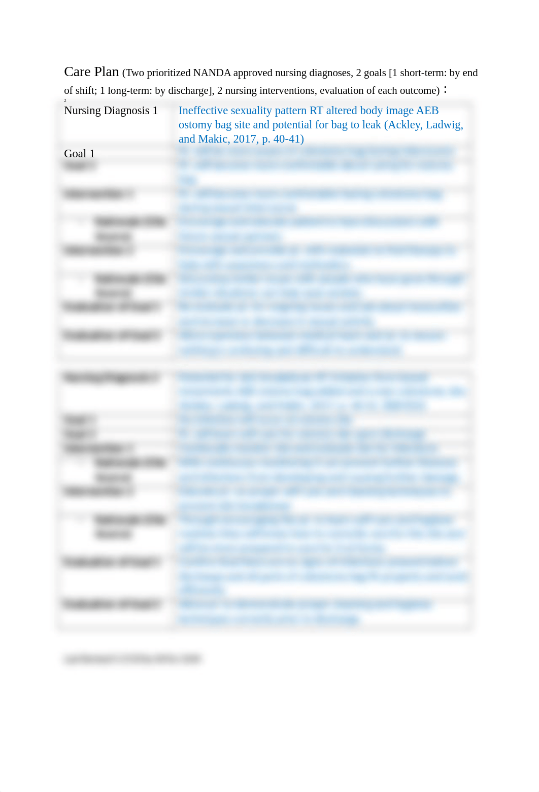 NRSG 3240 Care Planning Worksheet- wound care .docx_dbxj2dap0e0_page2