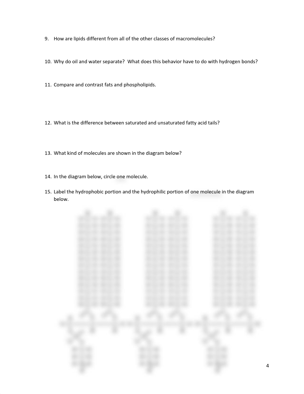 Activity 3 Macromolecules_dbxlrho79u3_page4