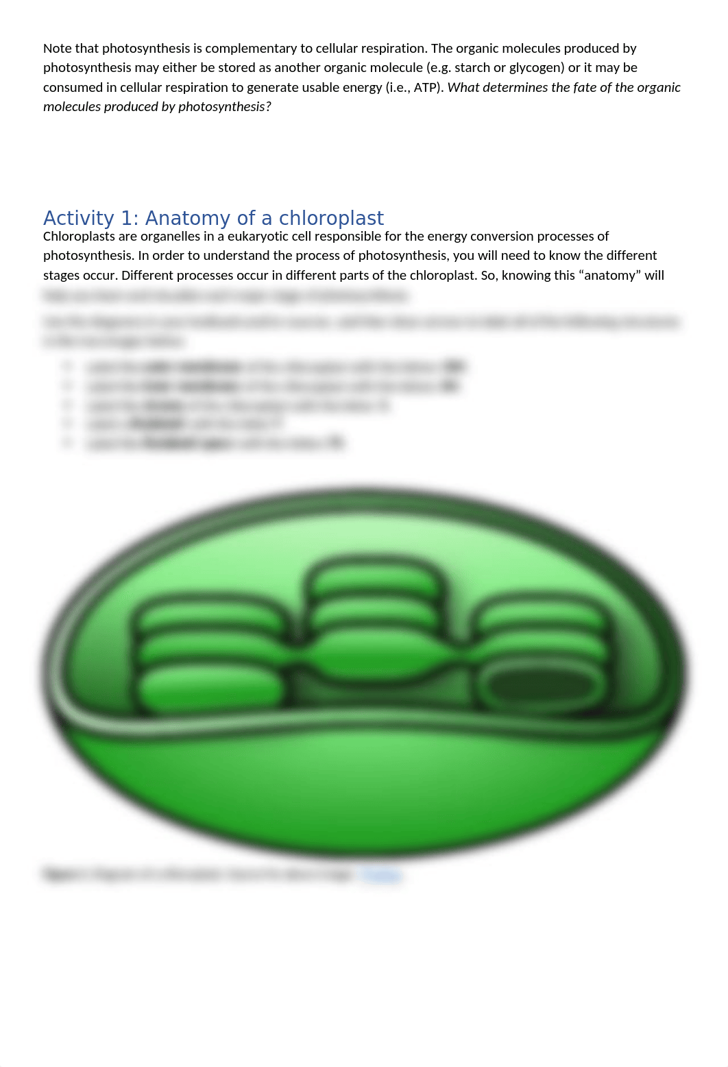 Lab6-Photosynthesis-online.docx_dbxouak4cig_page2