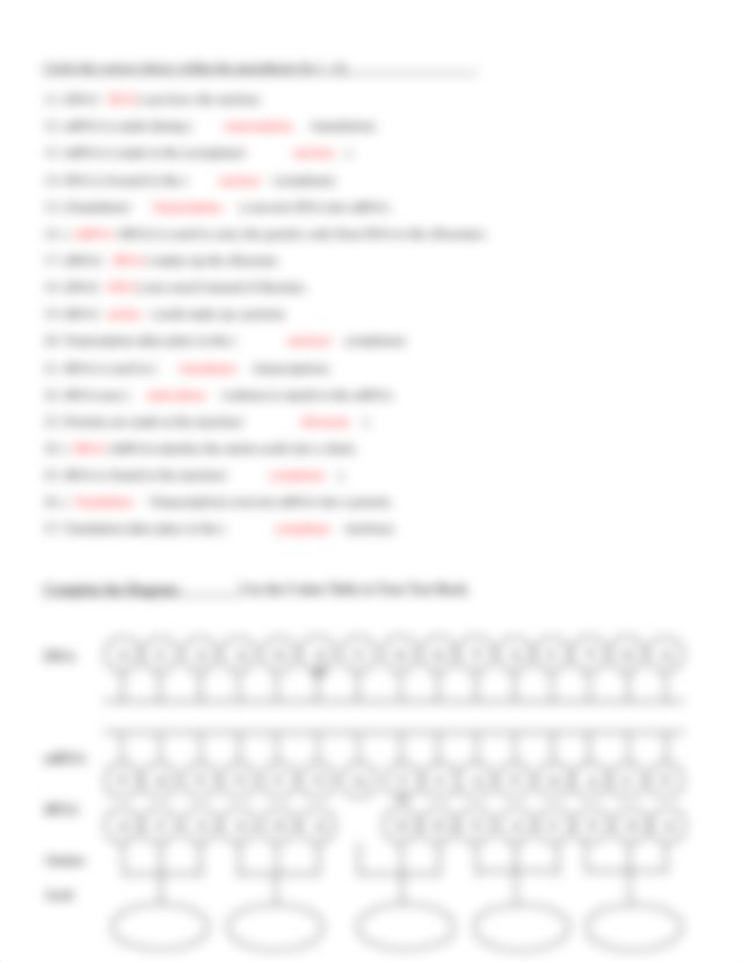 Protein Synthesis In-Class Worksheet.doc_dbxyil9uiz3_page2