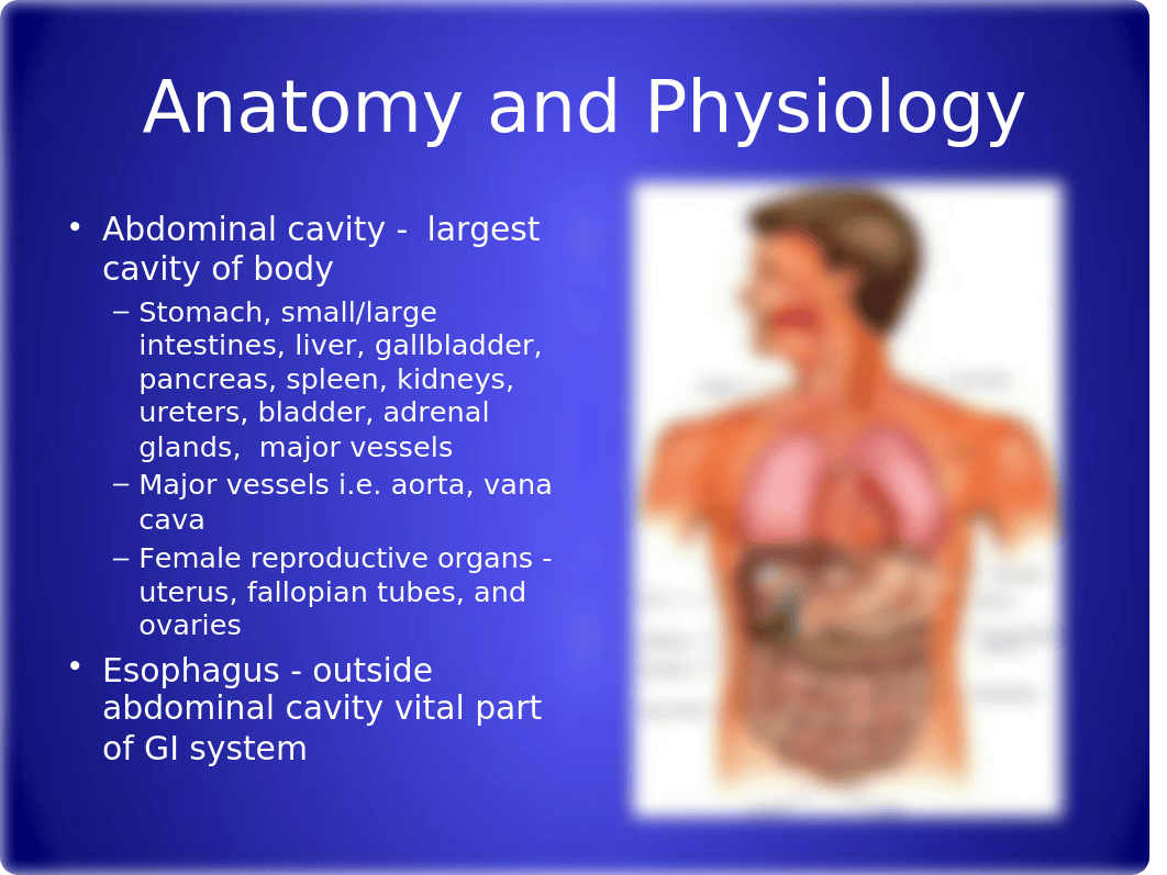 Assessment ABD and GI system_dby4g2venok_page2