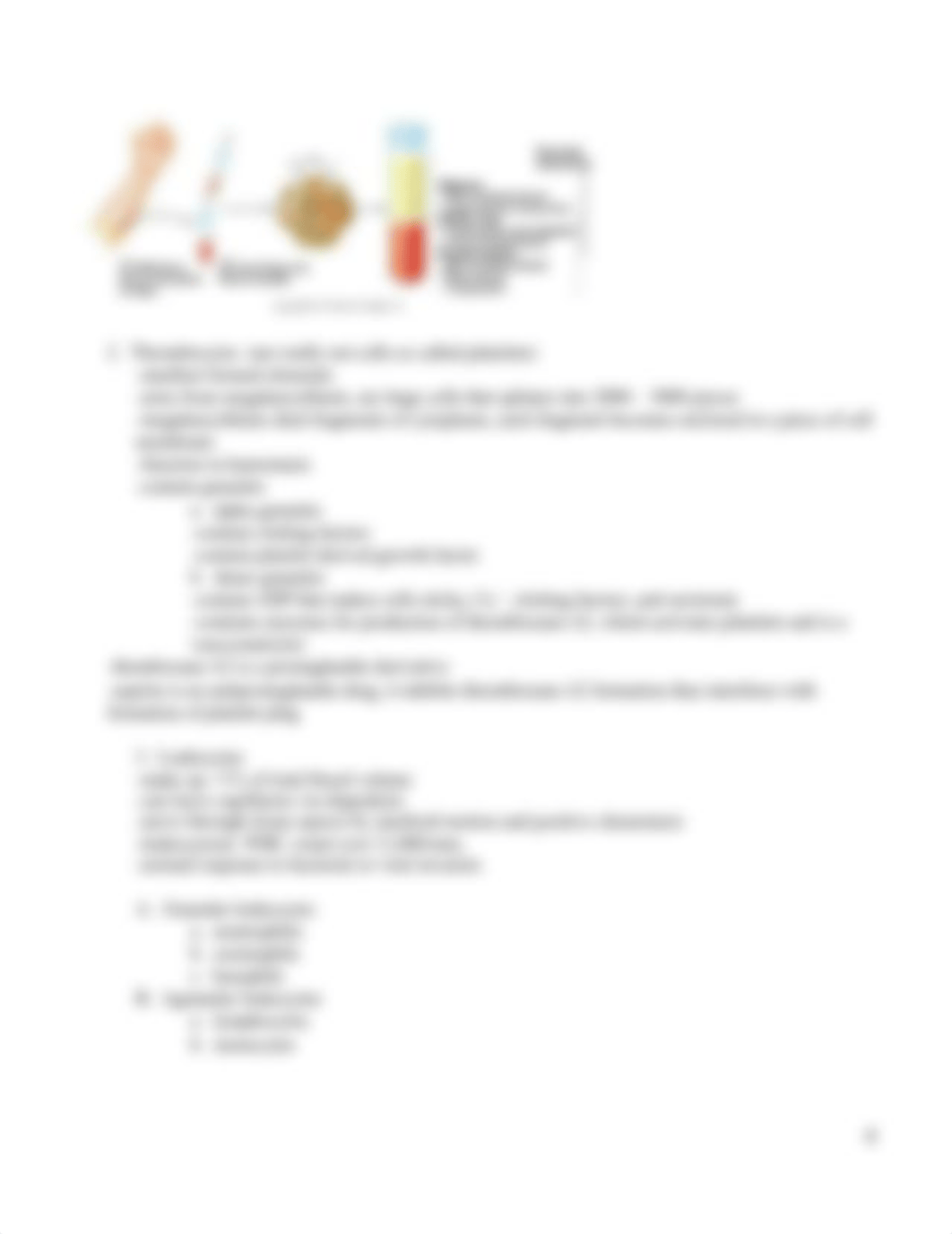 Ch 17 Part A Intro  Hematology.doc_dby4y54ioec_page4