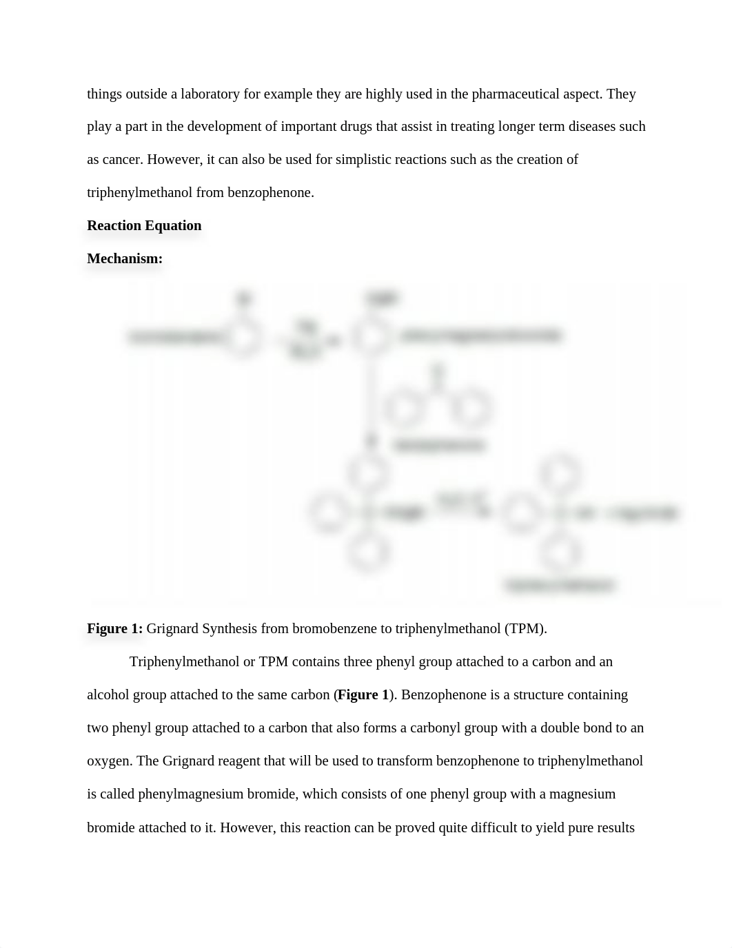 grignard lab 1.docx_dby5f75v3oa_page2