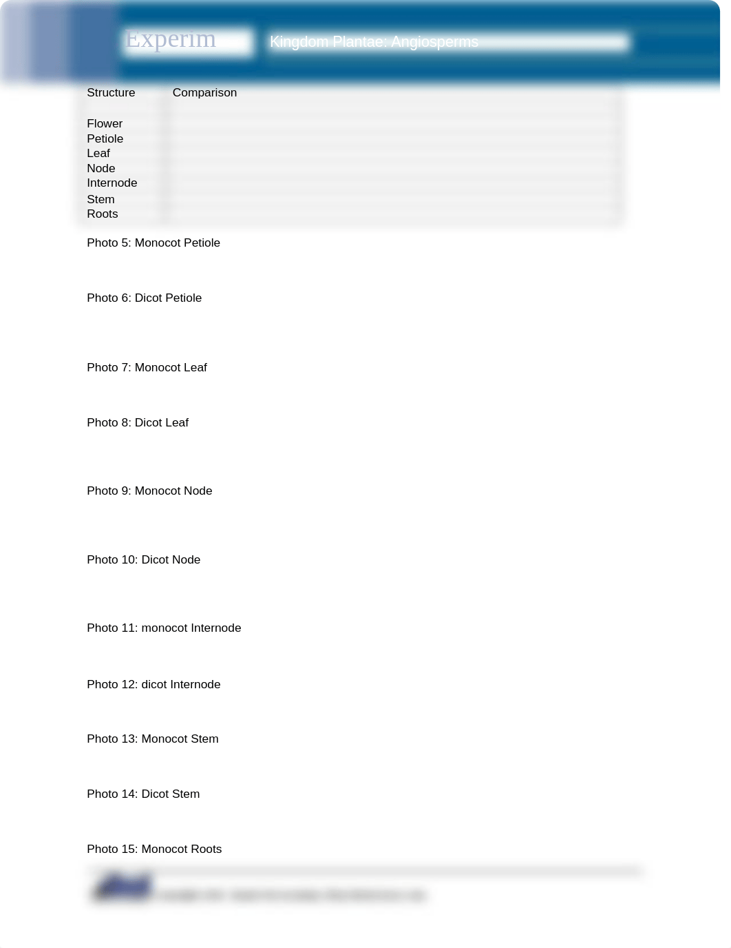 Kingdom_Plantae_Angiosperms.docx_dbysl7p0w8k_page2