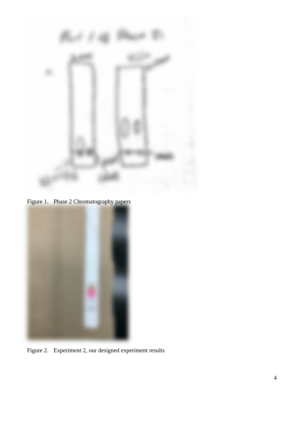 Chromatography lab report.docx_dbz36g7hgif_page4