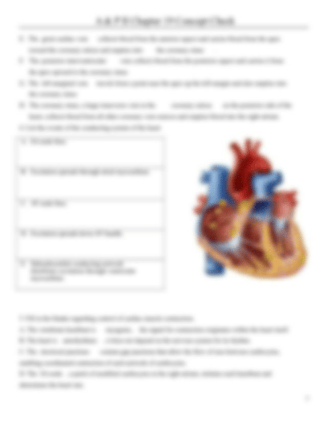 Chapter 19 Concept Check(1).docx_dbzdh6g35gs_page2