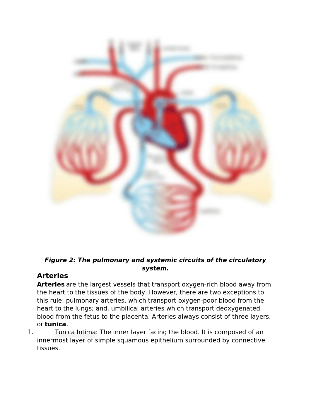 week_4_introduction_for_lab_asignment_0_dbzww8iz1kr_page3