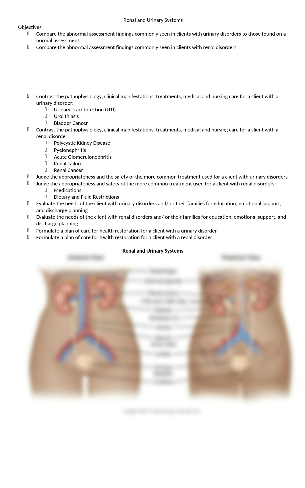 Renal and Urinary Systems.docx_dc0c2k020xw_page1