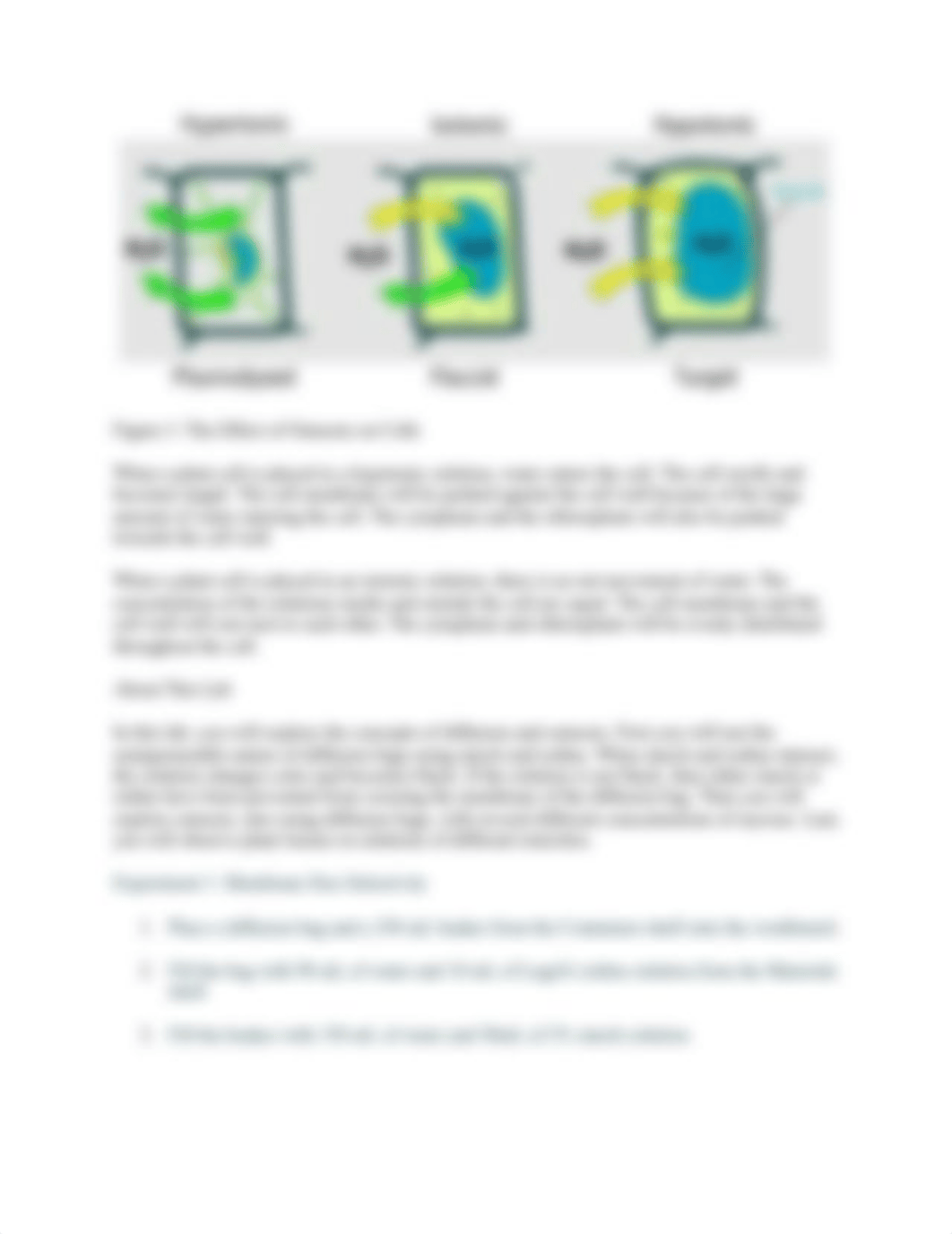 Late Nite Labs Diffusion & Osmosis.docx_dc0h9sc98u5_page3