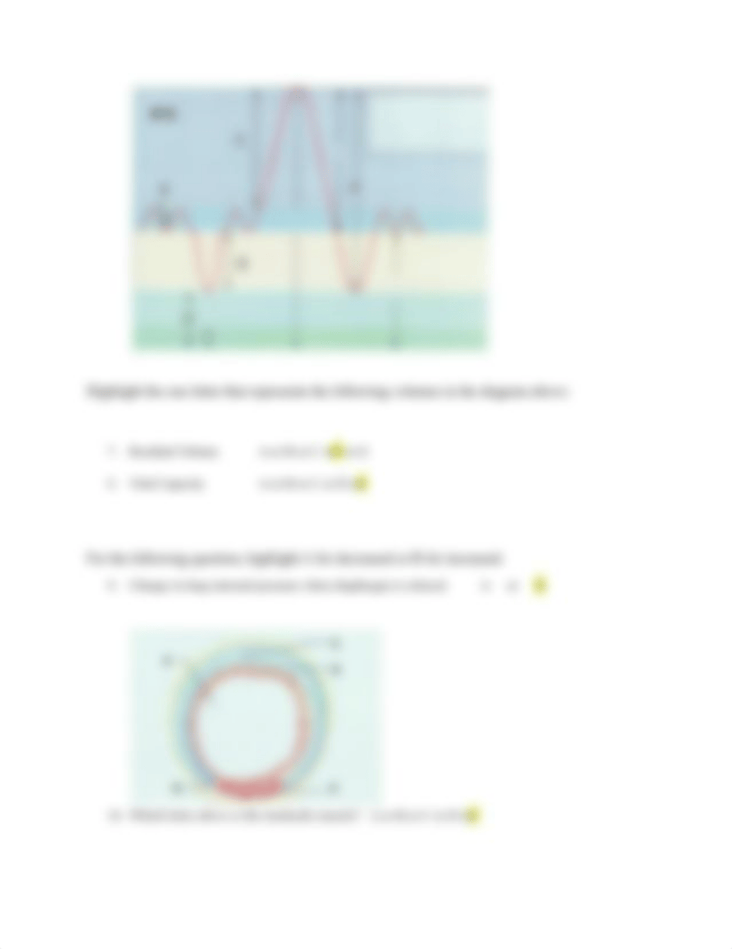 BIO-131 Lab Quiz #6 Respiratory System (1).docx_dc0kk98s2as_page3