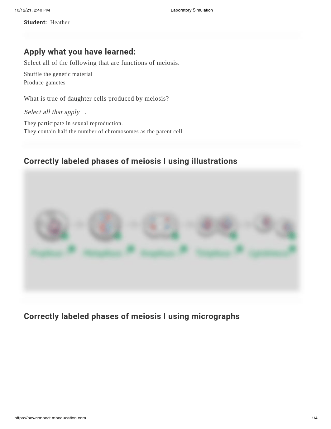 Cell Division - Examining Meiosis.pdf_dc0lruxn8b3_page1