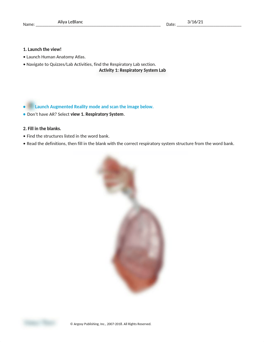 respiratory-lab-activity.docx_dc0o6wfughk_page1