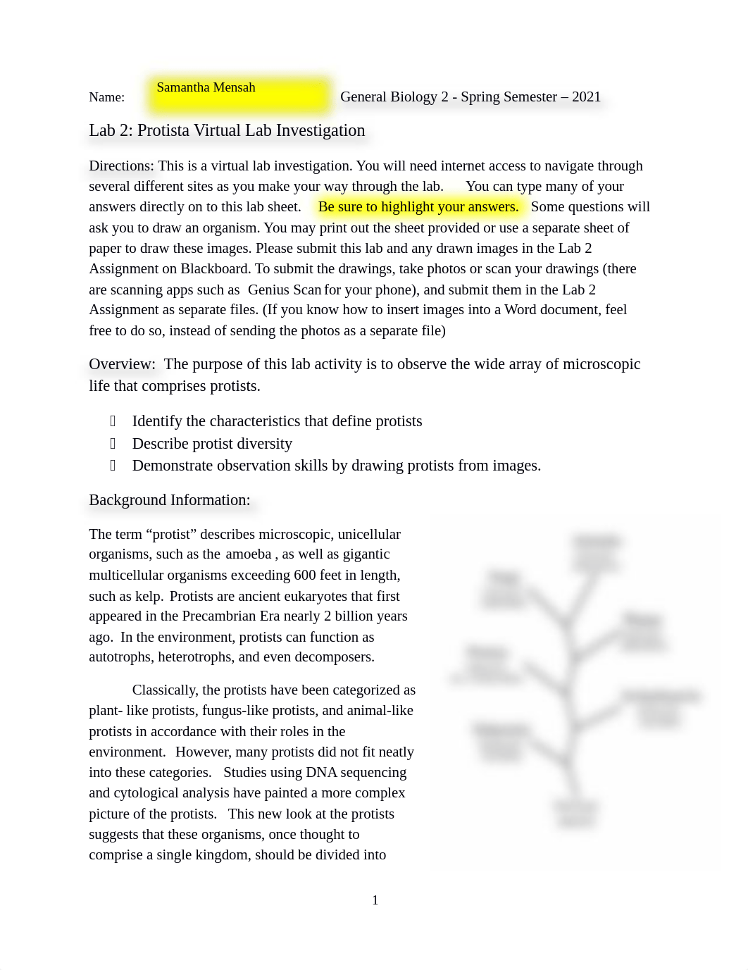 Lab 2 ProtistaVirtualLabsheet from Jenny, updated(1).docx_dc0q7ehj9jt_page1