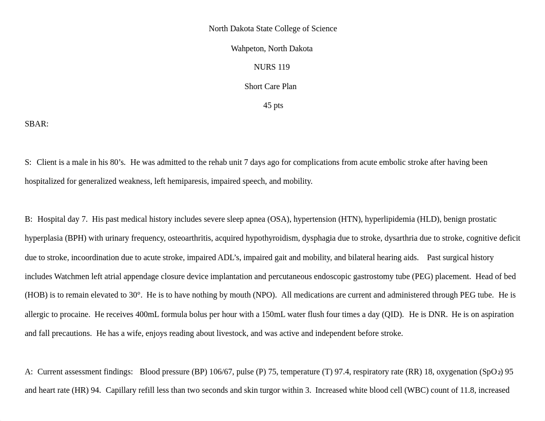 nurs 119 care plan.docx_dc0vl7ethjz_page1