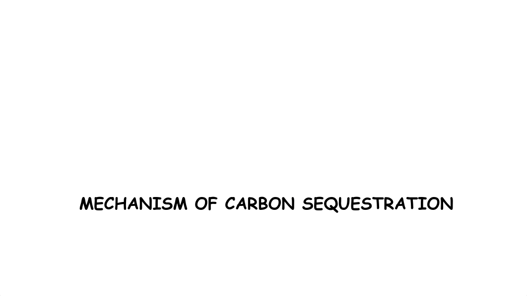 5. 12. Carbon Sequestration.pdf_dc0x3bnhjk7_page5