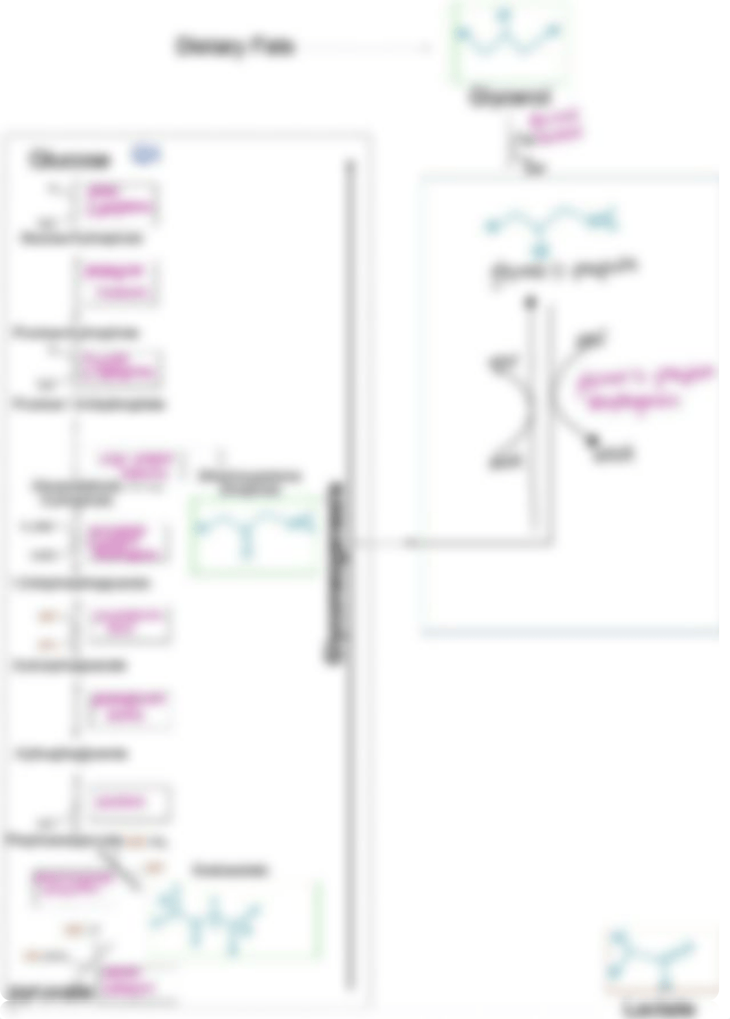 Lab 4 pathways.pdf_dc100mj65z9_page3