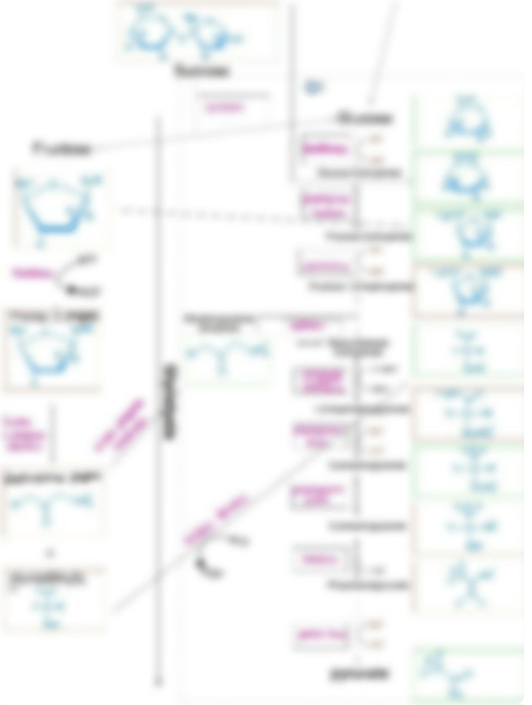 Lab 4 pathways.pdf_dc100mj65z9_page2