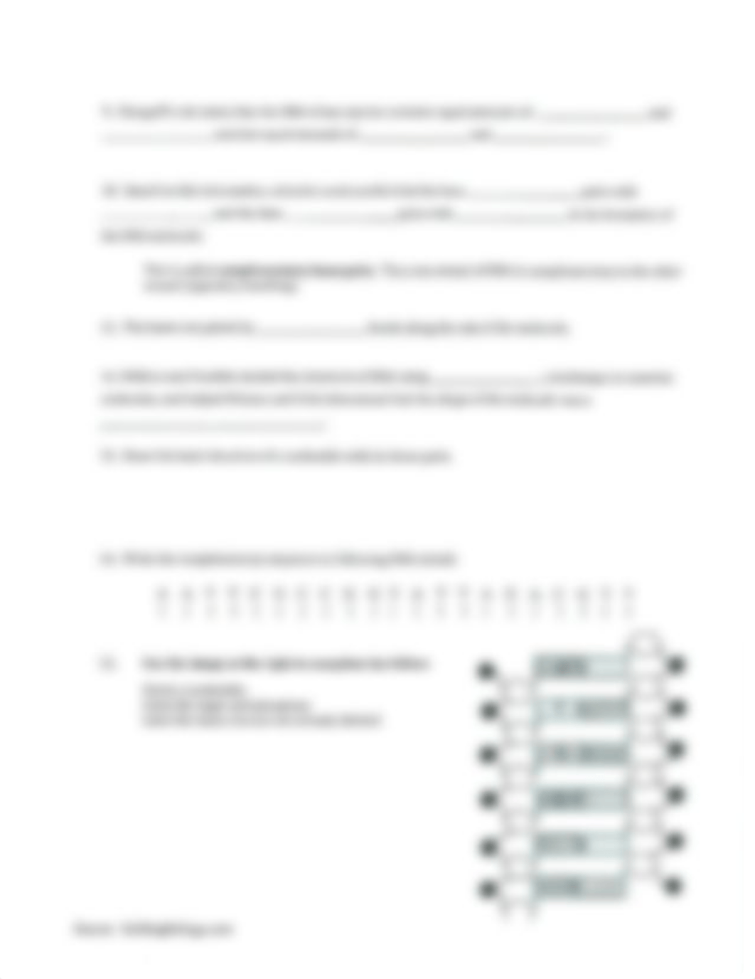 DNA wksheet.pdf_dc10jxxoycx_page2