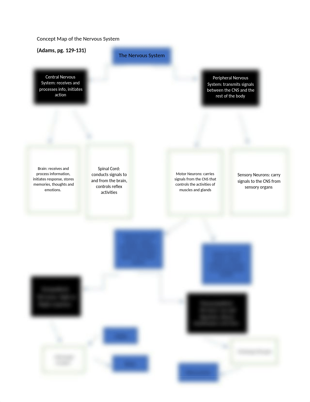 Nervous System .docx_dc11w4tfk71_page1