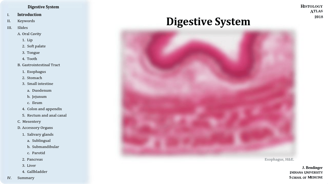 12 - Digestive System.pdf_dc139xi4znw_page1