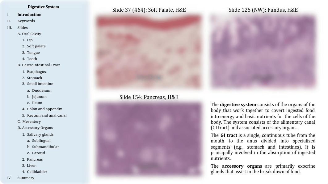 12 - Digestive System.pdf_dc139xi4znw_page2