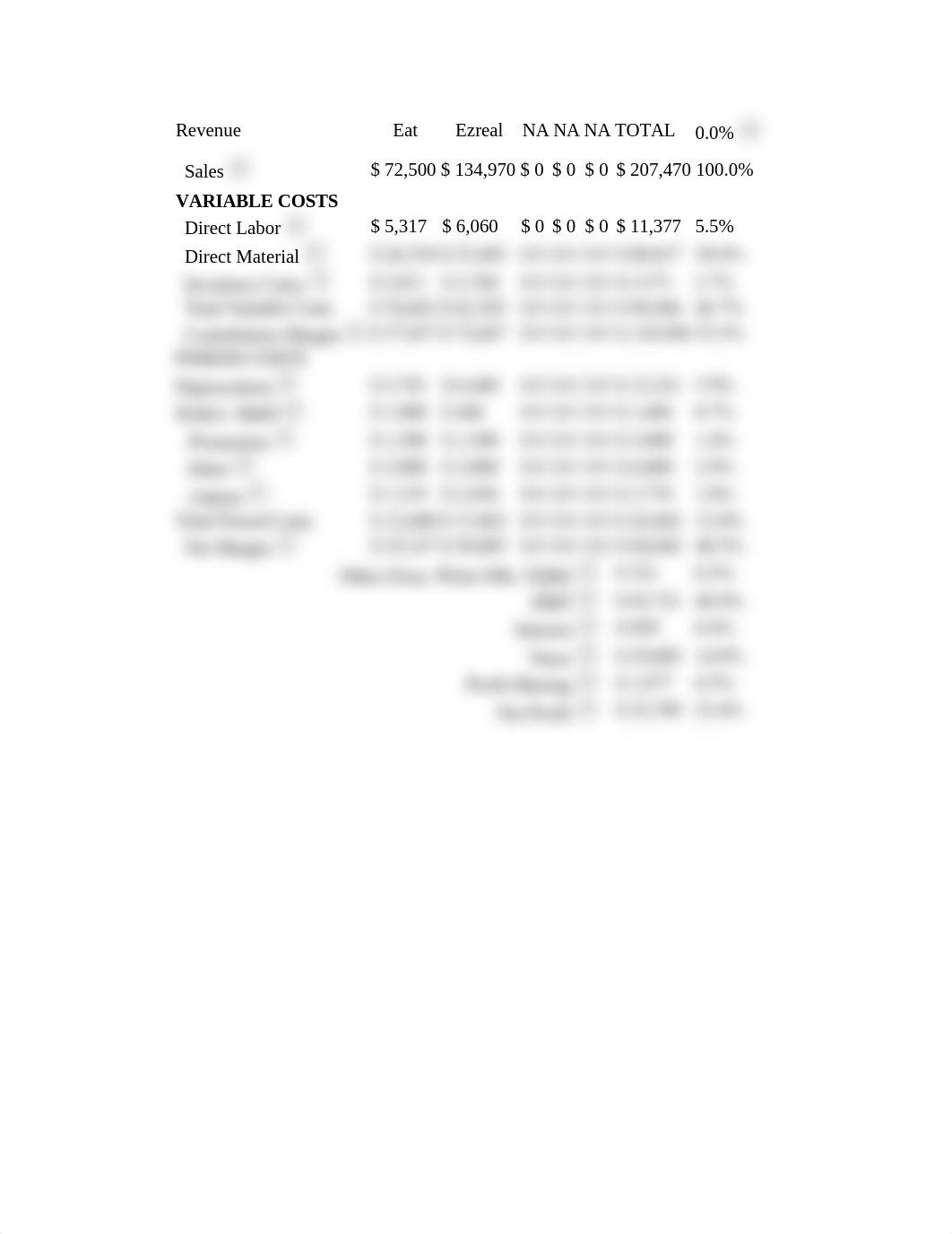 Proforma Balance Sheet & Income statement.docx_dc1botsftbm_page2