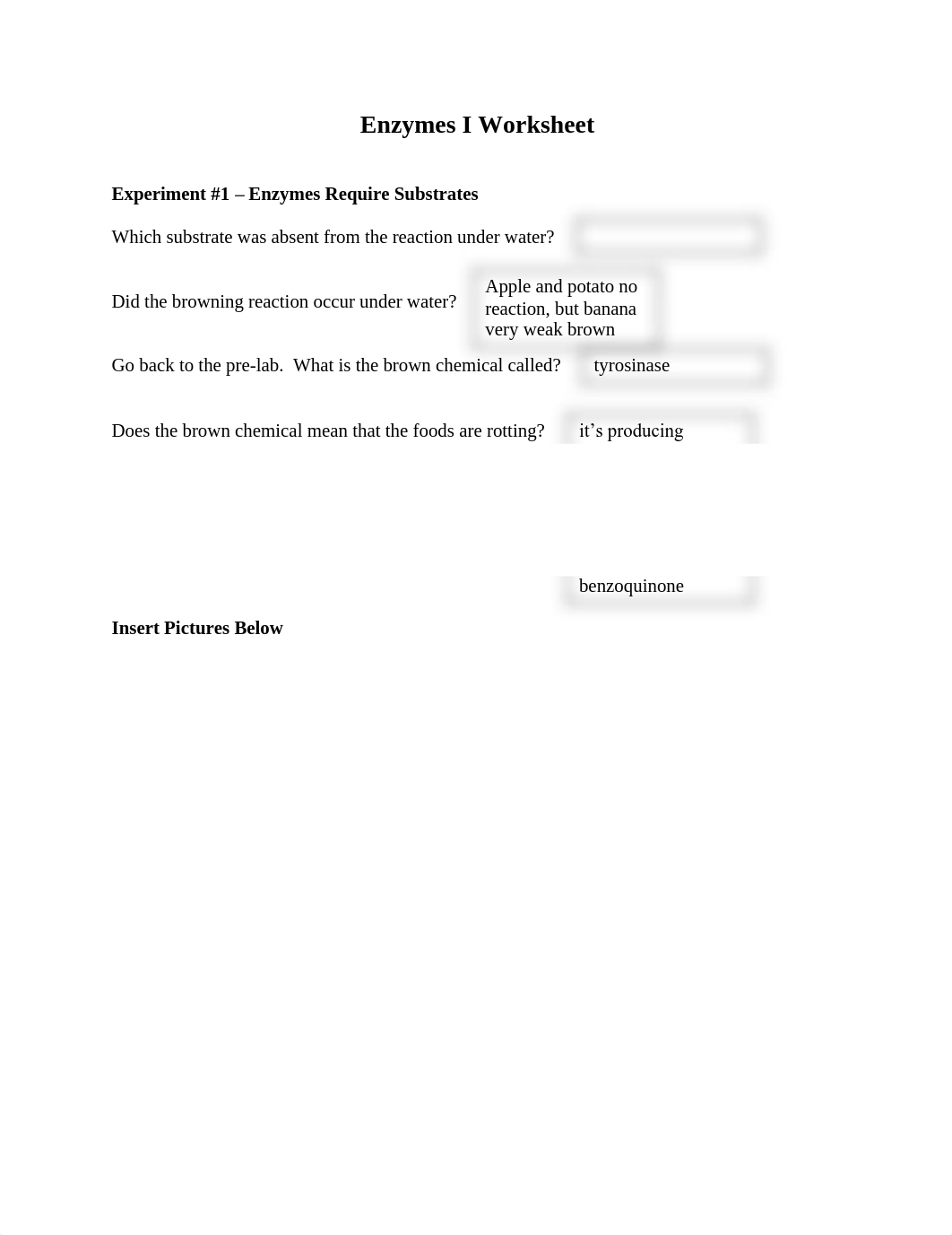 Enzymes I Worksheet1733.pdf_dc1d1c9e31e_page1