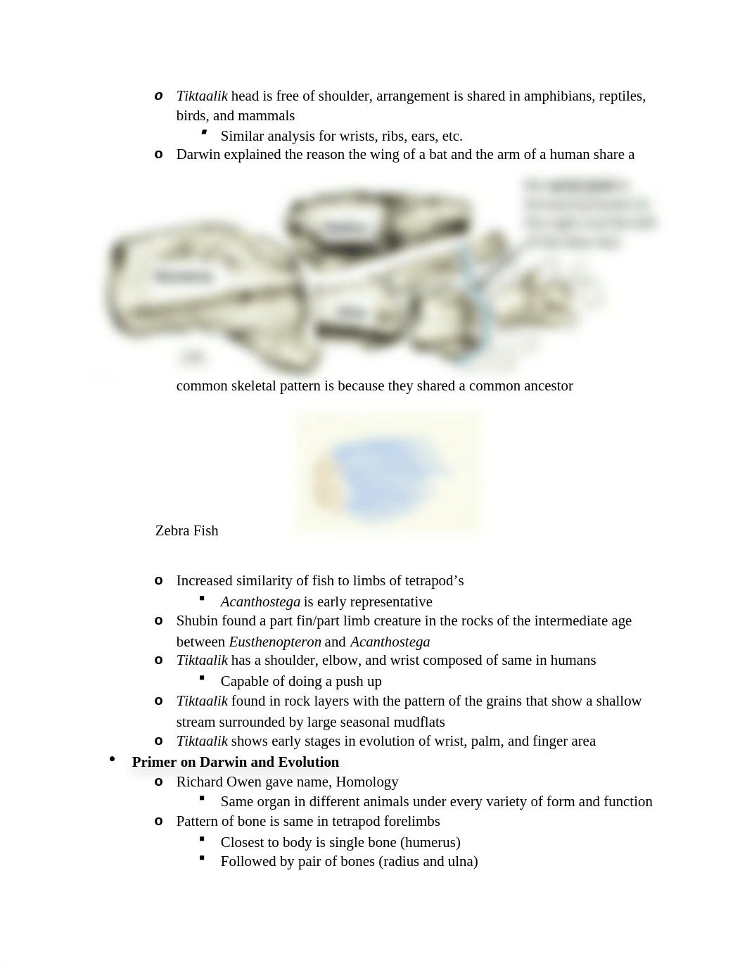 bio exam 4 notes.docx_dc1h2d0nrmi_page2