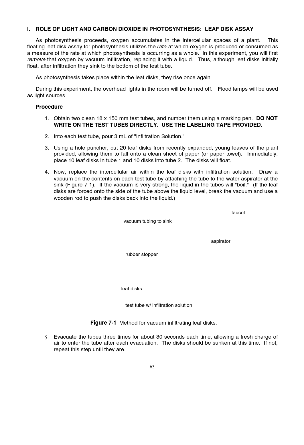 Photosynthesis Capture of Light Energy Lab.pdf_dc1l6bt89qh_page2