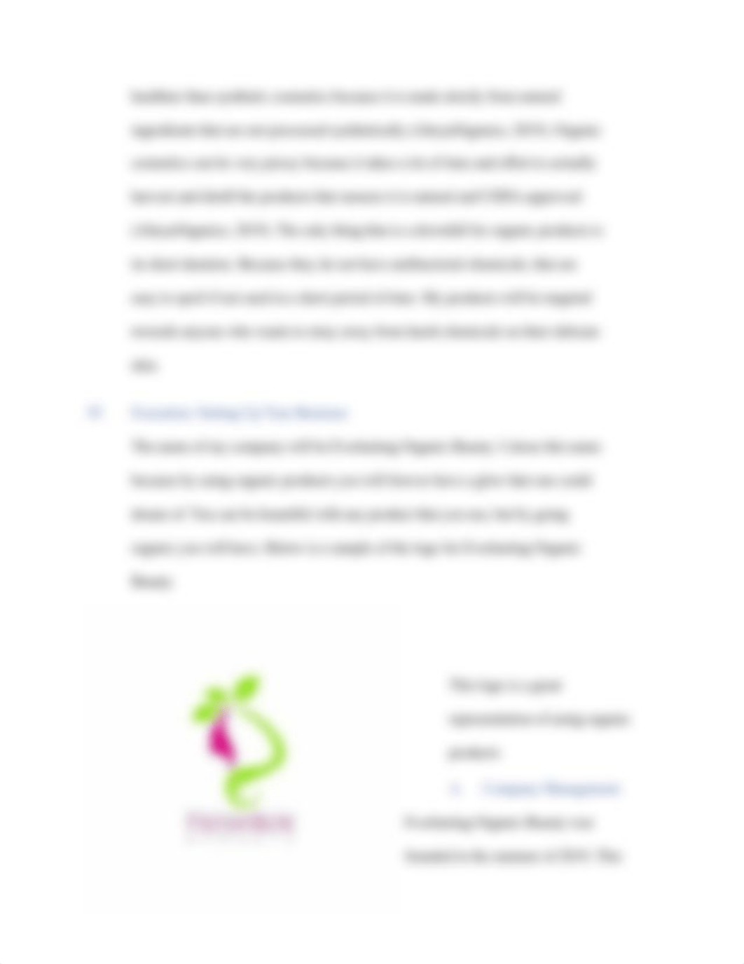 E-Commerce Business Plan.docx_dc1t3spbbgi_page3