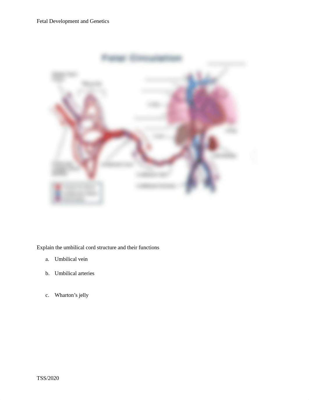 FD & Genetics .doc_dc1u29ippc9_page2