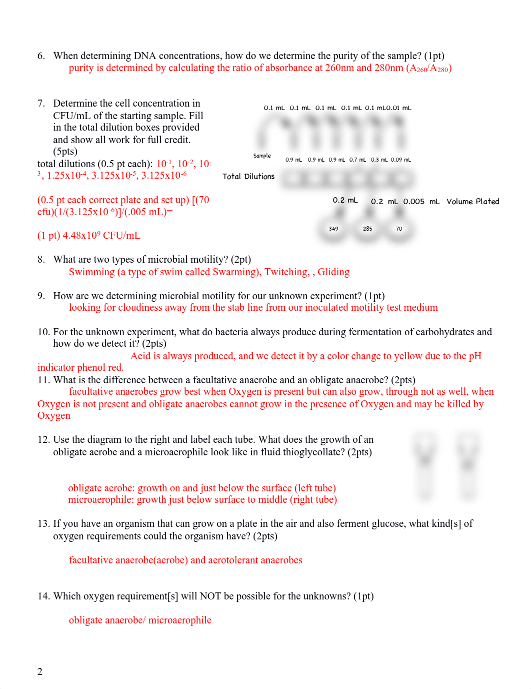 BIOL 255 Quiz 3 Key(2).pdf_dc26sy98ukq_page2