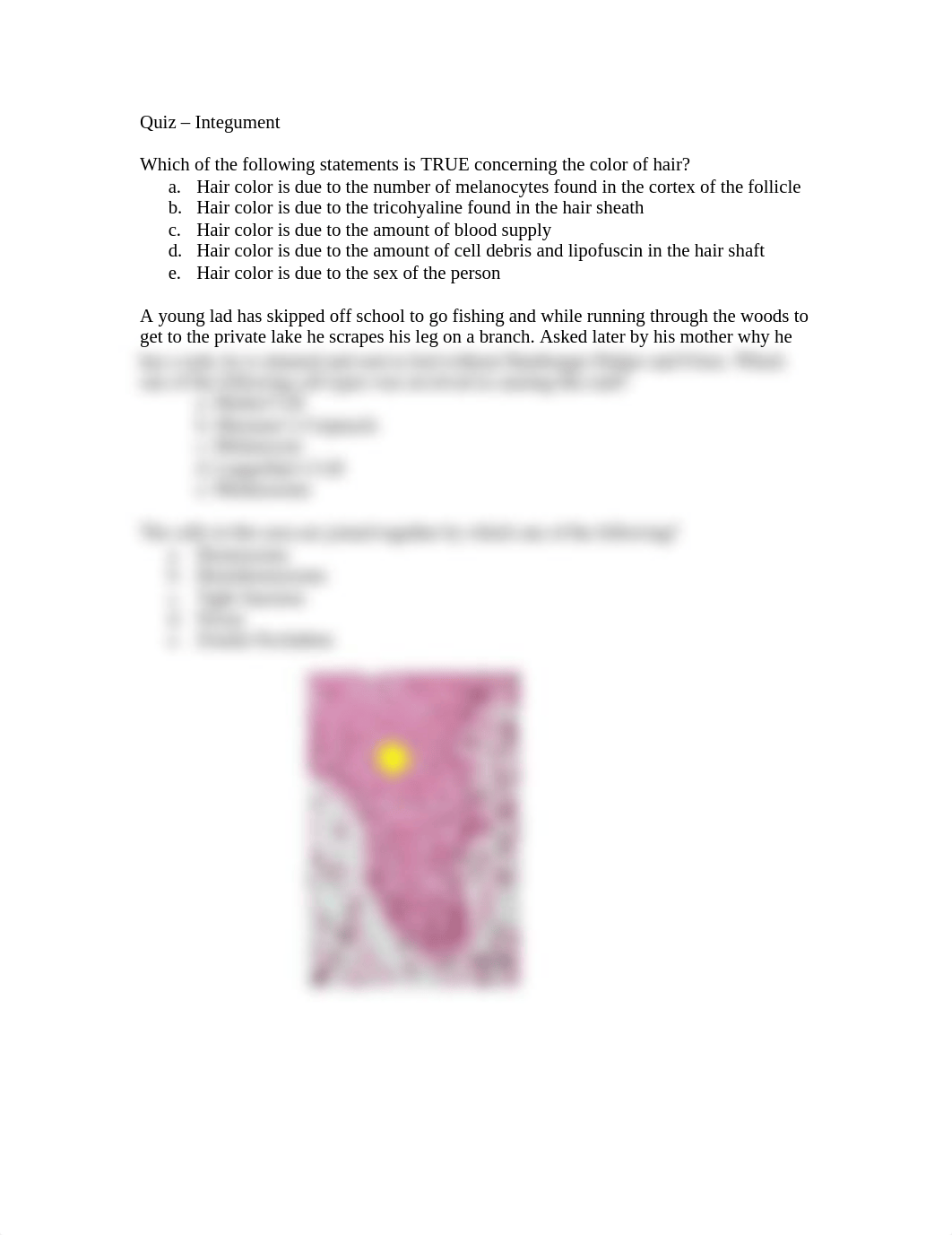 Quiz-Integument_dc29gynhigr_page1