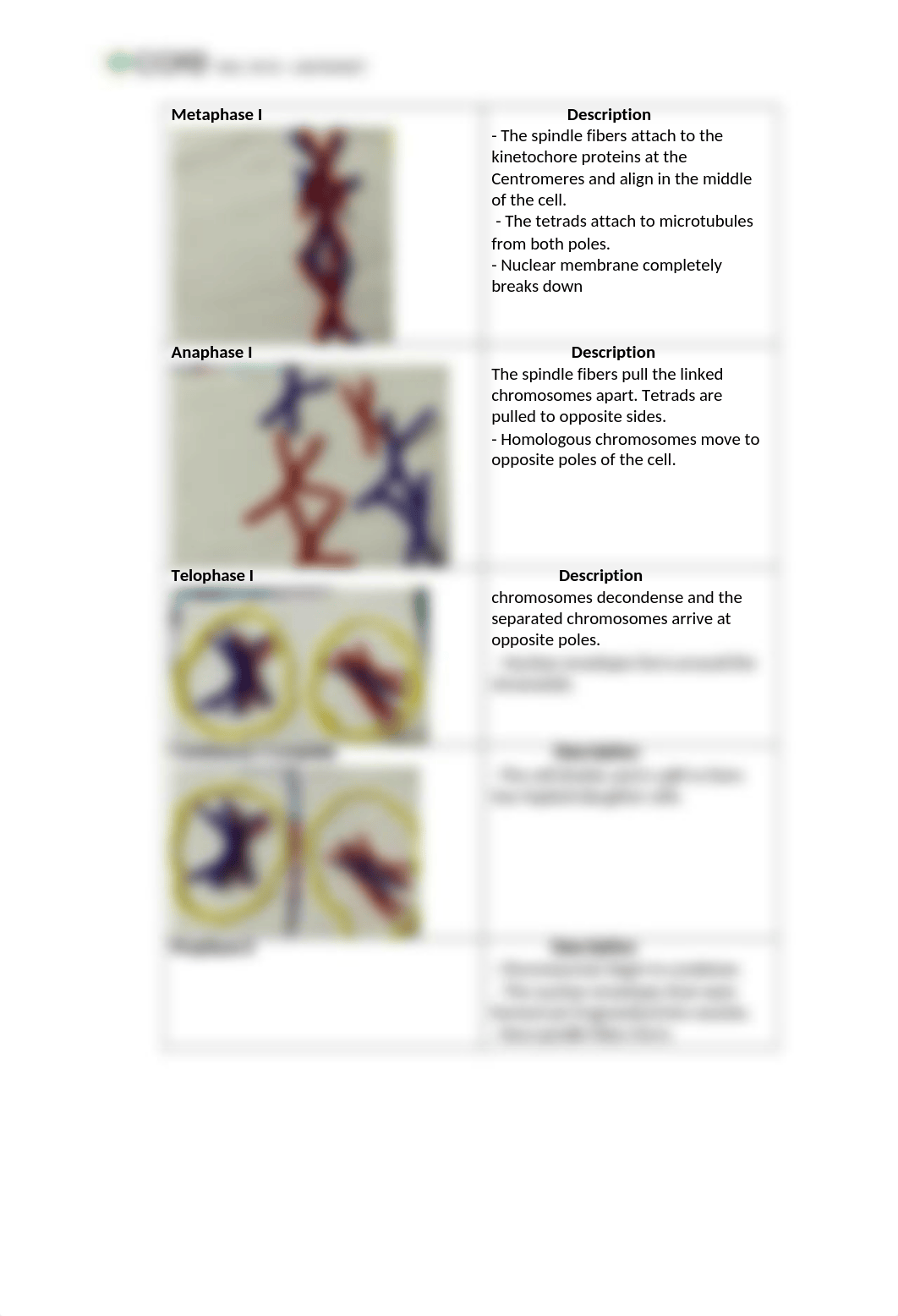 Lamb_Unit 7 Lab Final Report.docx_dc2njcvll8u_page2