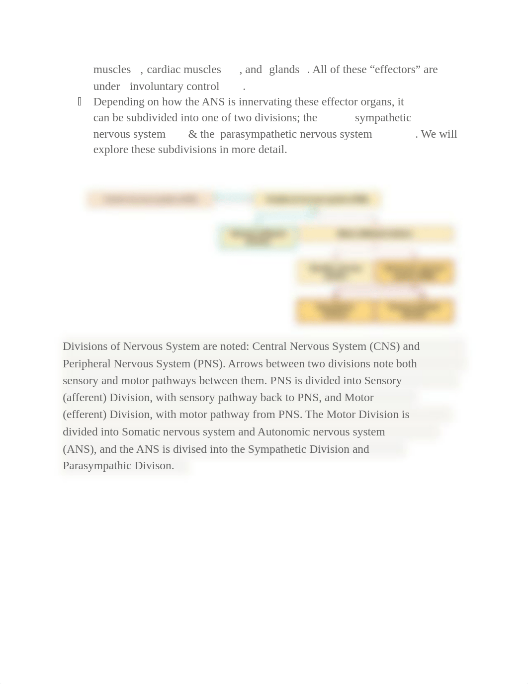 NR 283 - Edapt Unit 3 Autonomic Nervous System.docx_dc2puwpn9lf_page2