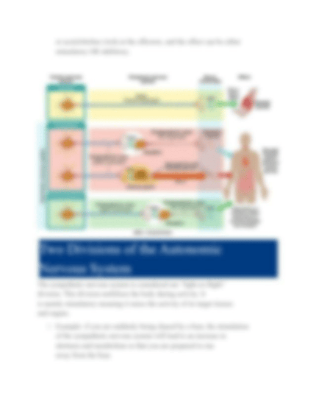 NR 283 - Edapt Unit 3 Autonomic Nervous System.docx_dc2puwpn9lf_page4