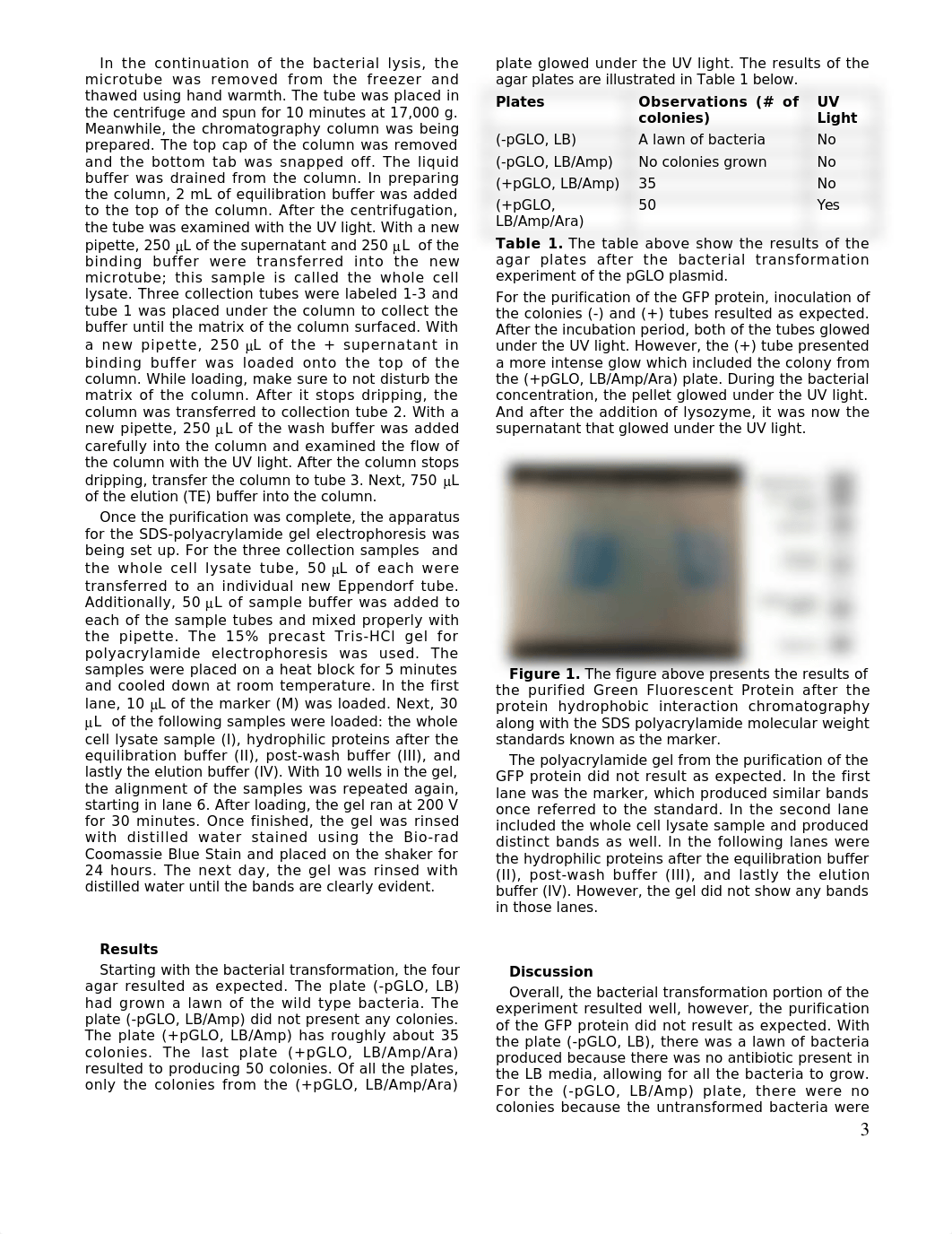 Exp 7 Bacterial Transformation & Purification of GFP_dc2rvz7uji3_page3