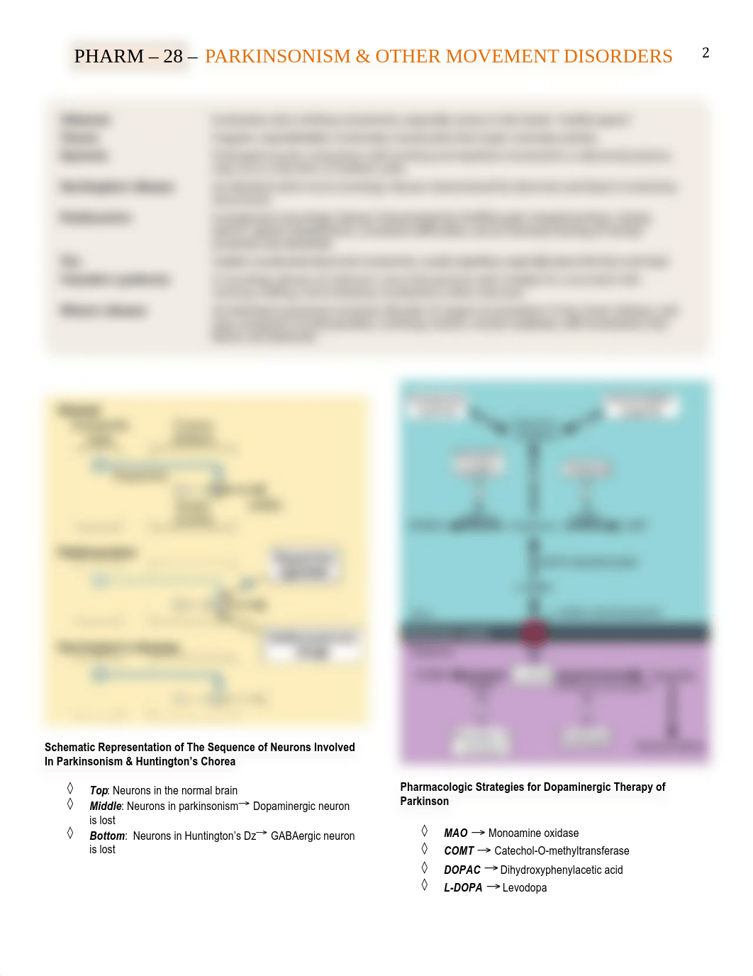 Pharm - 28 - Parkinsons - BL_dc2szr6m57d_page2