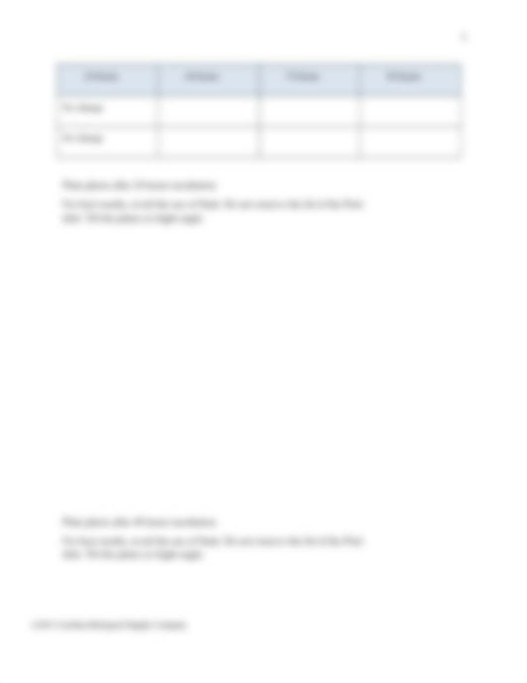 Lysozyme answer sheet.docx_dc2ytuc8xw2_page2