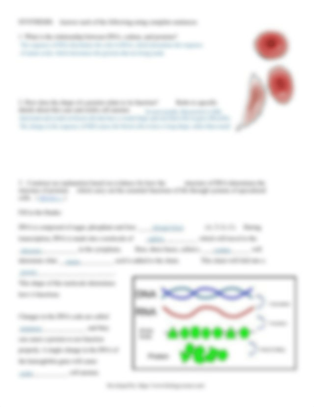 Kami Export - Protein%20Synthesis%20Sickle%20Cell%20Worksheet (1).pdf_dc31w9wzuki_page2