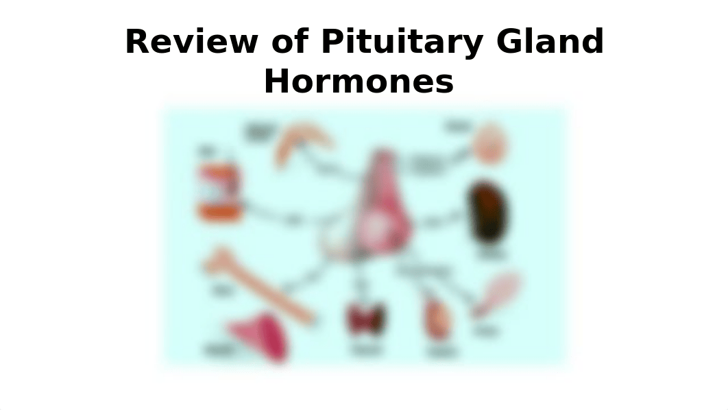 Patho Endocrine Dz Flashcards .pptx_dc35syh5dn6_page1