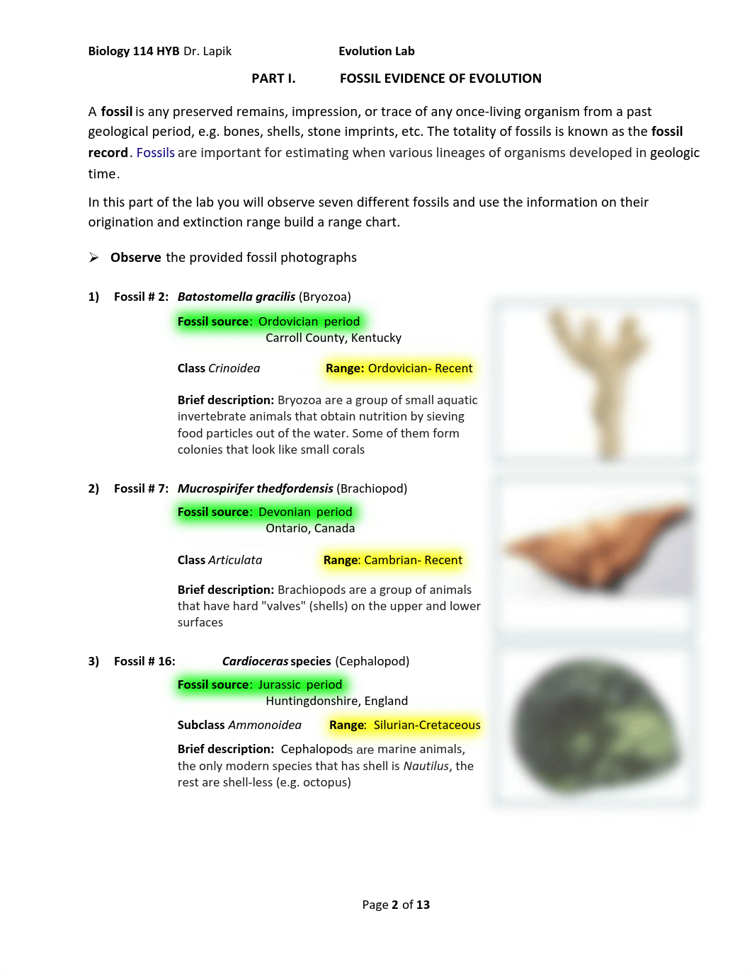 114  EVOLUTION LAB OL - Raymond Mei.pdf_dc3a3fyetfx_page2