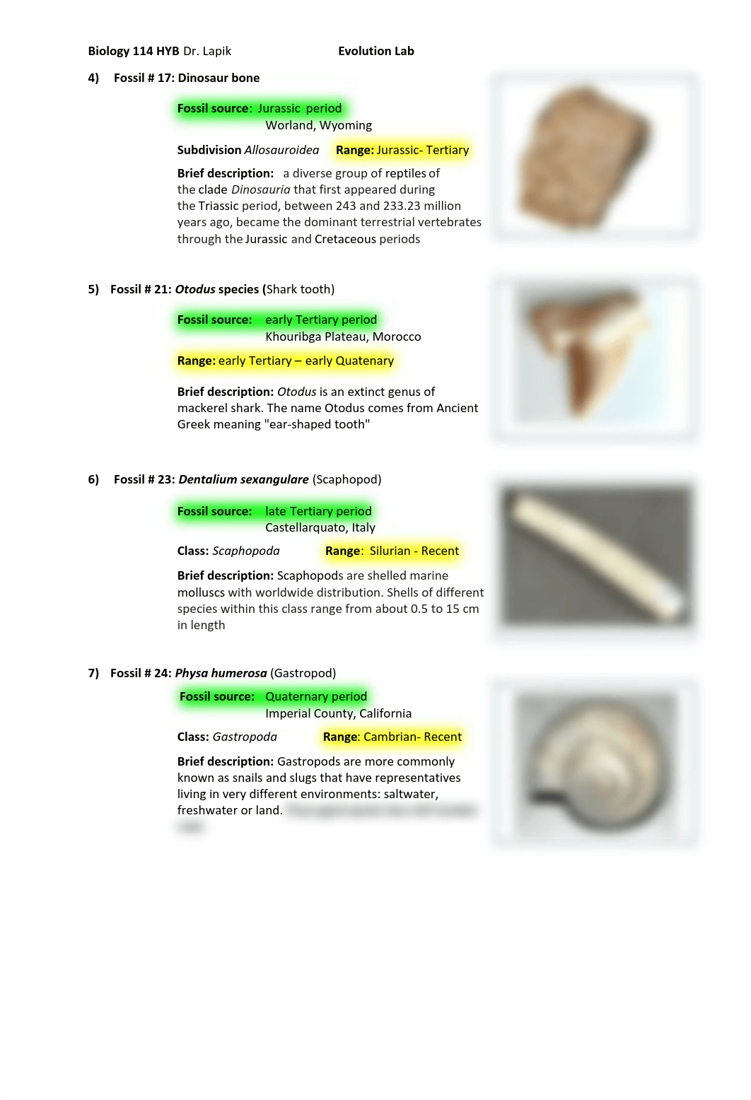 114  EVOLUTION LAB OL - Raymond Mei.pdf_dc3a3fyetfx_page3